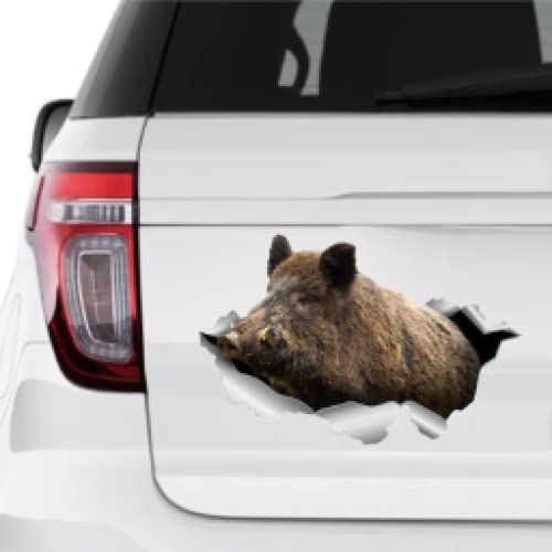 17 cm Wildschwein Autoaufkleber Wildschwein Aufkleber Wildschwein Aufkleber Waldtiere Autoaufkleber Großes Wildschwein Aufkleber Auto