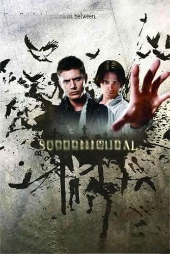 HfmQuisutron Jigsaw Puzzle 1000 Stück Movie Ackles Poster Für Puzzle Home Stressabbau Spiel Xy257Tk