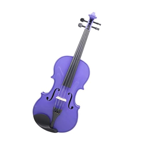 Standard Violine 4/4 Ahorn-Panel Für Anfänger Mit Teilen(Purple)