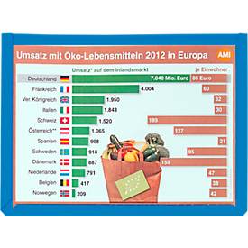 Sichttaschen, farbig, DIN A4, 10 Stück