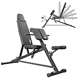 TREX SPORT TX-200B Multifunktions Hantelbank | Trainingsbank für Ganzkörper-Workout | Rückentrainer für zuhause | bis 250 kg