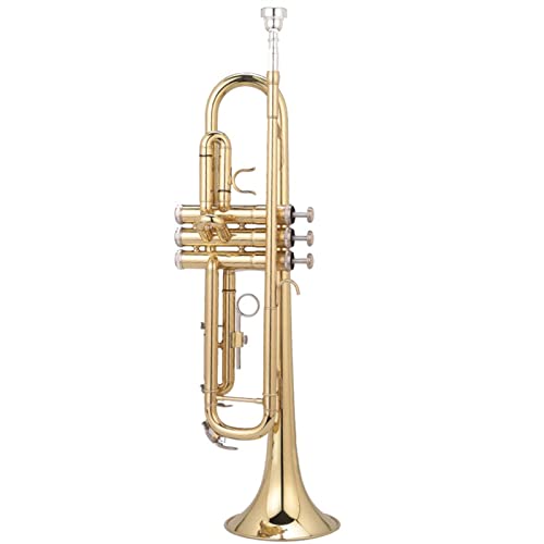 Trompeten Messing Lackiert Gold Anfänger B-Flat Alto Erste Schritte Orchestras Trompeteninstrument Trompete aus Messing