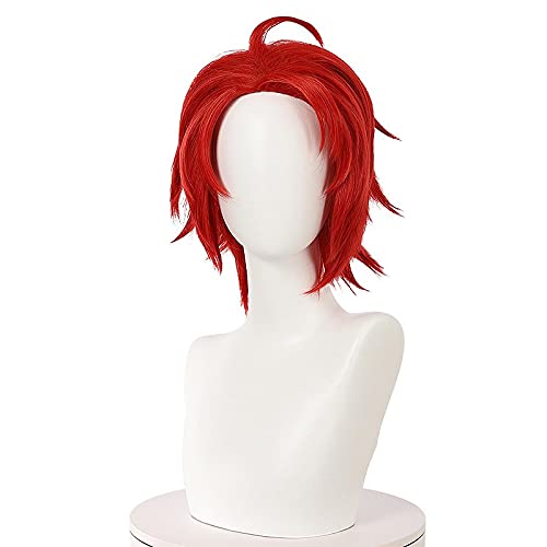 Anime cosplay perücke Momoe Sawaki Perücke Cosplay Kostüm Anime Wonder Eier Priorität Kurzwein Rot Synthetische Haare for Halloween Karneval Party Rollenspiel