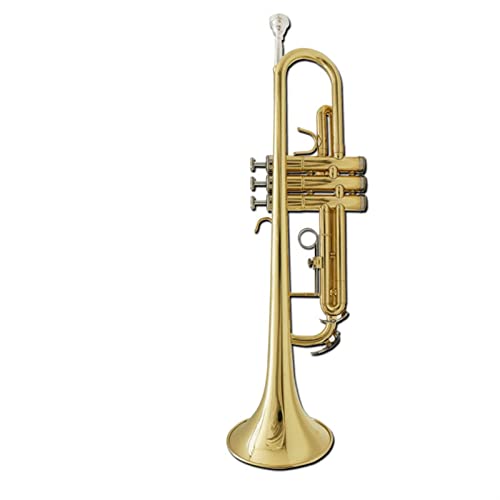 B Flache Anfänger General Messing Trompete Messing Band Schule Messingband (Color : Gold)