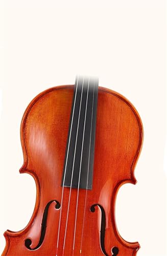 Standard Violine 4/4 Violine Für Erwachsene Für Erlernen Des Spiels Natürlich Luftgetrocknet