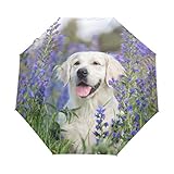 My Daily Golden Retriever Reise-Regenschirm mit Blumen-Motiv, automatisches Öffnen/Schließen, leicht, kompakt, winddicht