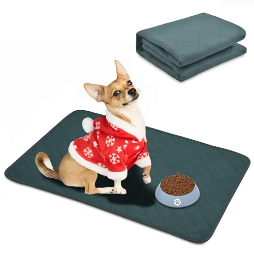 Waschbare Pee Pads für Hunde und Katzen, Haustier-Welpen-Trainingspads, wasserdicht, wiederverwendbar, saugfähig, groß, mittel, klein, rutschfest, moderne Wurfunterlage