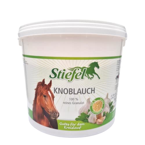 Stiefel Knoblauch 3 kg