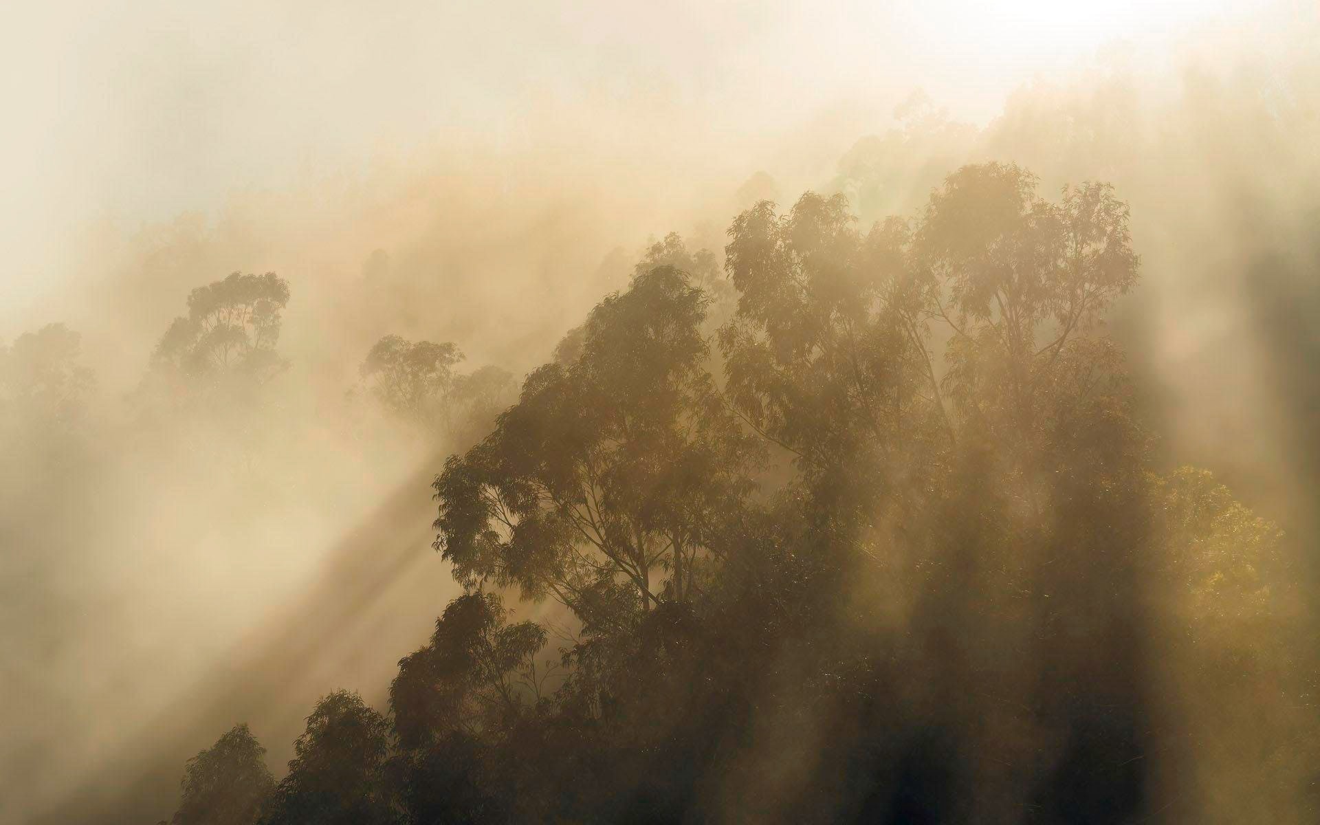 Komar Vliestapete "Misty Mountain", 400x250 cm (Breite x Höhe), Vliestapete, 100 cm Bahnbreite