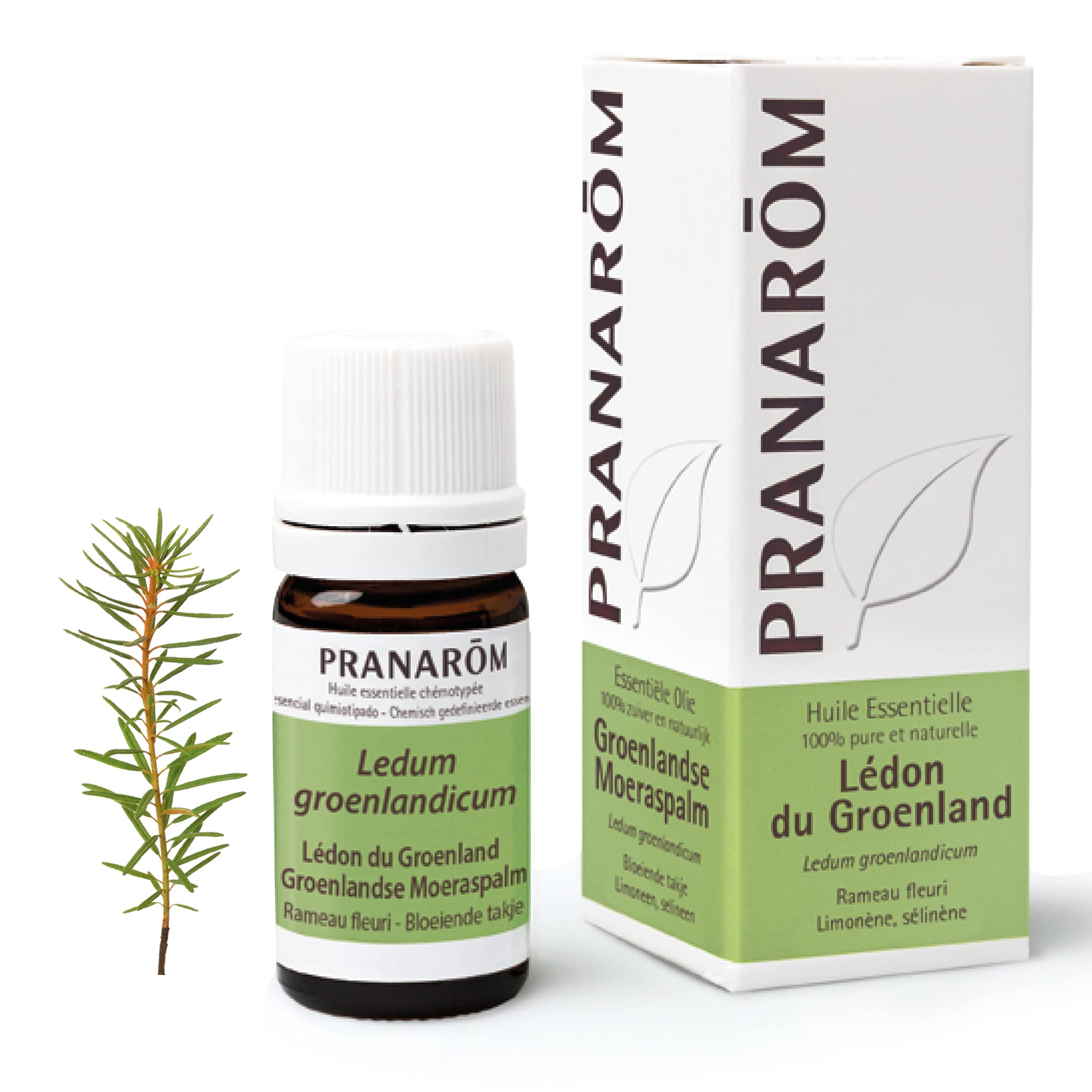 PRANAROM Ätherisches Öl, 5 ml