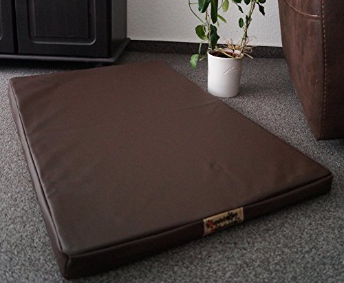 Hundebettenmanufaktur Orthopädische Hundematratze mit antiallergischer Kokosmatte Hundebett Kunstleder Größe und Farbe wählbar (100 cm X 60 cm, braun)