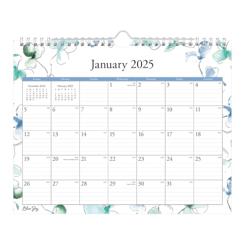 Blue Sky 2025 Monats-Wandkalender, Sicherheits-Spiralbindung, 27,9 x 22,2 cm, Lindley