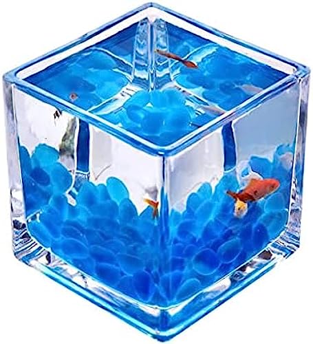 Desktop-Aquarium, quadratisch, transparentes Glas, Mini-Büro, Zuhause, Kampffischbecken, kreative Zierfische, kleines Aquarium, Wasserpflanzenbecken, Aquarium-Fischschalen, 9,9 cm