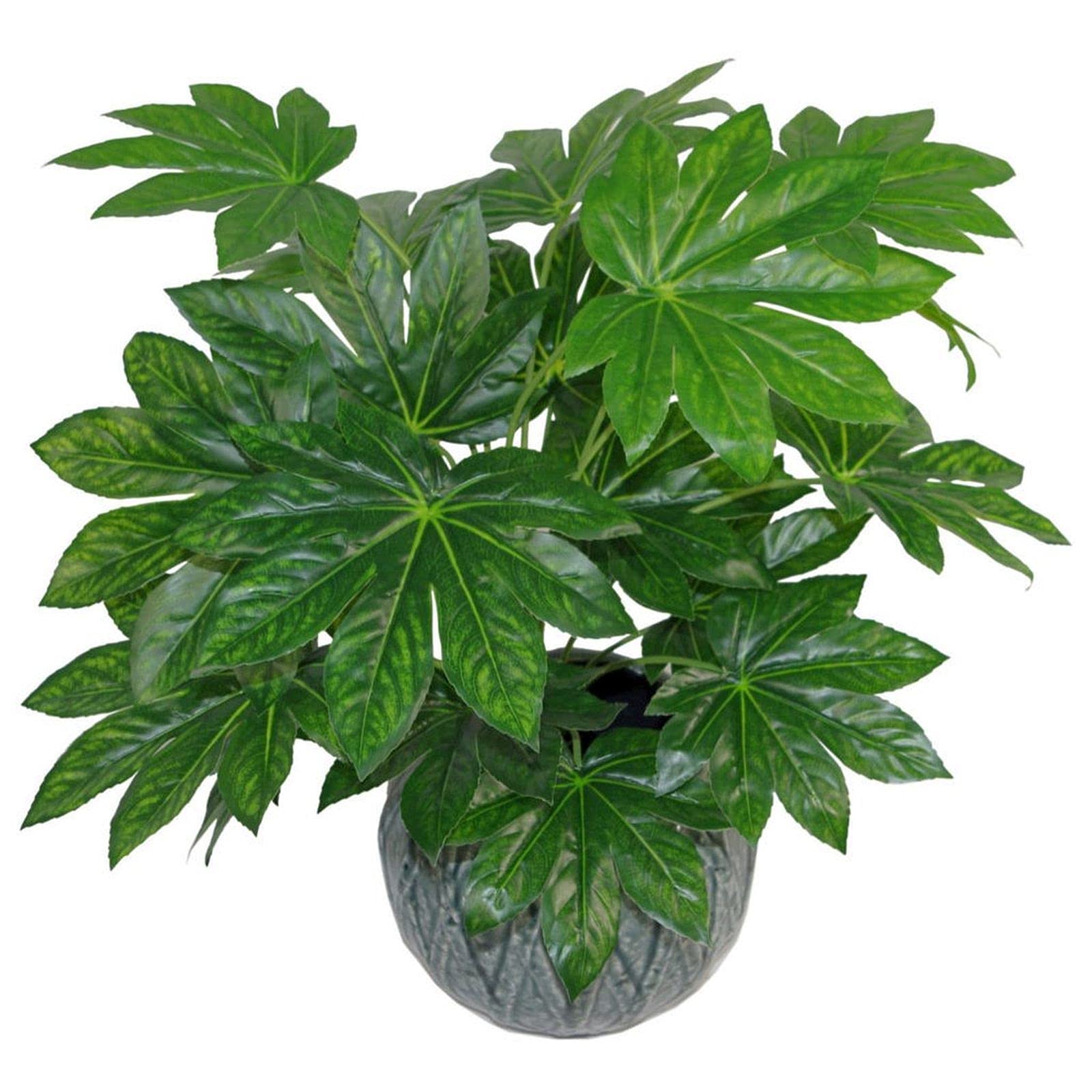 Leaf Design UK Realistische große künstliche Blattpflanze mit Topf, Aralia, 60 cm, AZ-Foliage