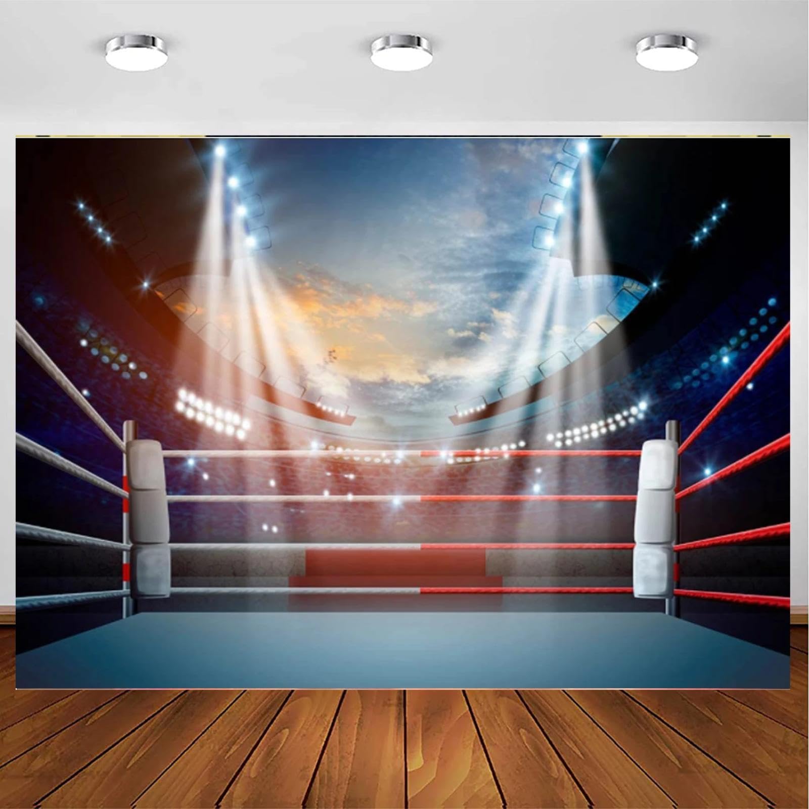 Boxen Ring Fotografie Spiel bühne Scheinwerfer interieur Stadion fitnessstudio Hintergrund männer Kampfsport Kampfsport Sport 350x230cm