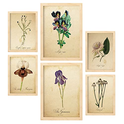 Nacnic-Set von 6 Vintage-Blumen-Poster. Sammlung von Platten mit ästhetischer Collage für Innendekoration. Größen A3 und A4. Mit Holzrahmen.