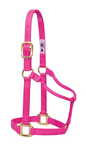 Weaver Leather Original Halfter aus Nylon, Nicht verstellbar, Diva Pink