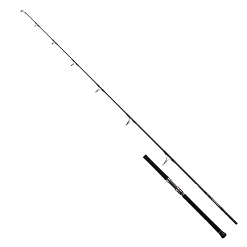 Daiwa Saltiga 710-8 Gehstock