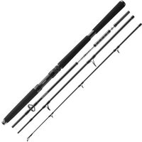 Daiwa BG Offshore Travel Pilk 2,25m 150-500g Reiserute