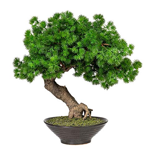 wohnfuehlidee Kunstpflanze Bonsai Lärche, Farbe grün, inkl. Keramikschale, Höhe ca. 37 cm