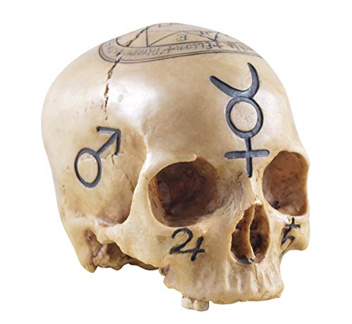 Vogler 812-1258 Totenschädel Necromancer Totenkopf Schädel Figur Deko Dekoration