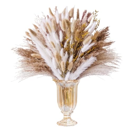 Pampasgras Deko Natural Pampas Bunny Rabbit Tails Dried Flowers Bouquet Wedding Party Decoration Fresh Limonium Lover Grass Home Vase Decor Trockenblumen(AC-558-100PCS)