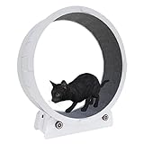 Katzenlaufband, Laufband für Katzen, Laufband für Haustiere, Laufband für kleine/große Katzenspielzeuge mit Teppichlaufbahn, geräuscharmes Laufband für Katzen im Innenbereich