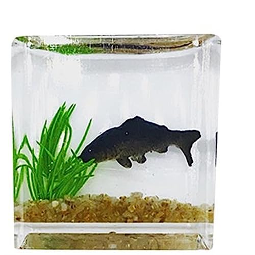 Kleiner Tank Aquarium, tragbare Fischschale Tank, Tankmodelle, lebensechte kleine Aquarien, Desktop-Aquarien, Hausdekoration