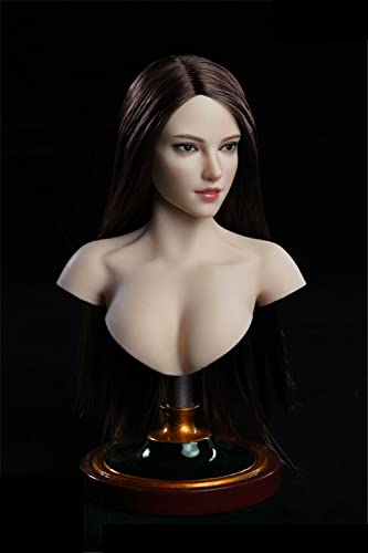 VUSLB 1/6 Scale Female Head Sculpt, Asian Girl Pale Skin Head Carved for 12inch Female Action Figure Body Doll (Straight Hair)