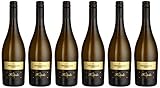 Cielo e Terra Prosecco frizzante DOC Frivolo (6 x 0.75 l)