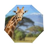 My Daily Afrikanische Giraffe Reise-Regenschirm, automatisches Öffnen/Schließen, leicht, kompakt, winddicht