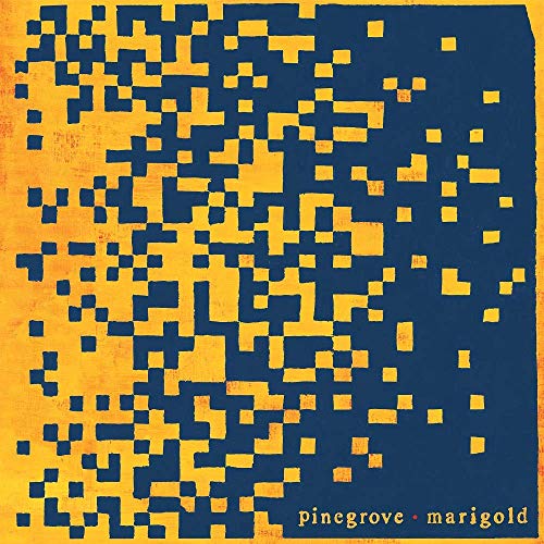 Marigold (Marigold Yellow)