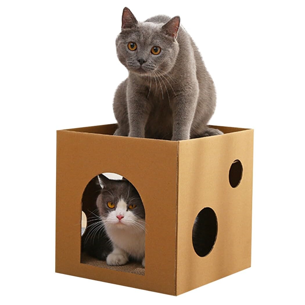 Tragbare leichte quadratische Kratzbox Kätzchen Katze Set Interaktives Versteck Spielzeug Niedlicher Kratzbaum Karton