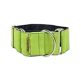 ThePetLover Martingale Hundehalsband, Größe L