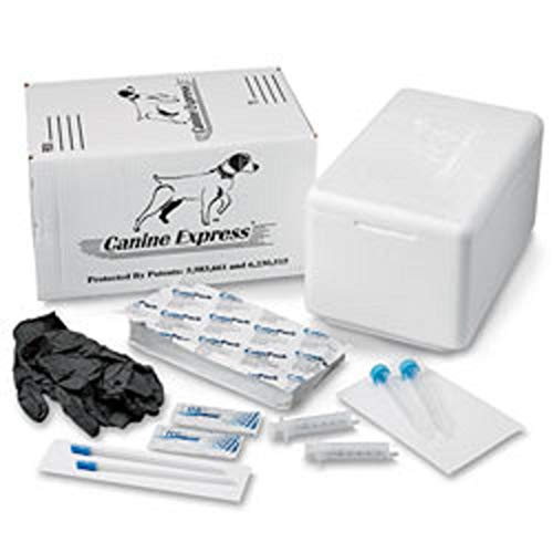 Canine Express Disposable Semen Transport