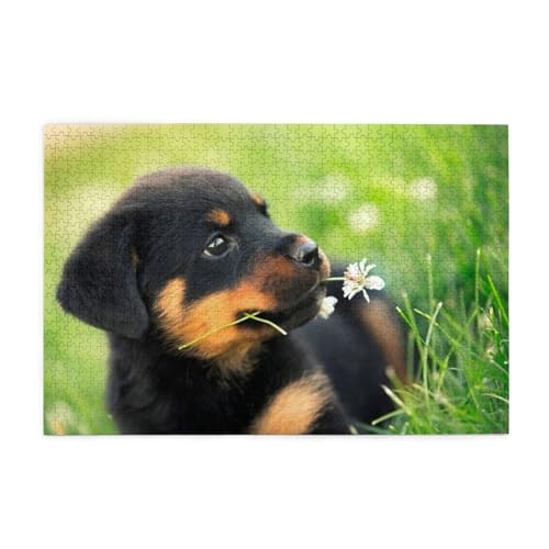 Tier Tier niedlicher Hund Welpe Rottweiler, Puzzles 1000 Teile Holzpuzzle Spielzeug Familienspiel Wanddekoration