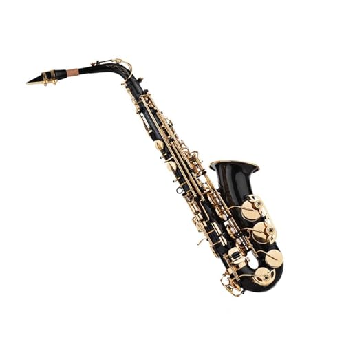 Eb-Altsaxophon, Saxophon, Messing, goldfarben lackiert, mit gepolstertem Koffer, Handschuhen, Pinsel, Saxophonriemen, Schilf Anfänger saxophon