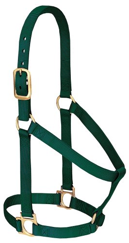 Weaver Leather Basic Non-Adjustable Nylon Horse Halter, Hunter Green, 1" Small Horse