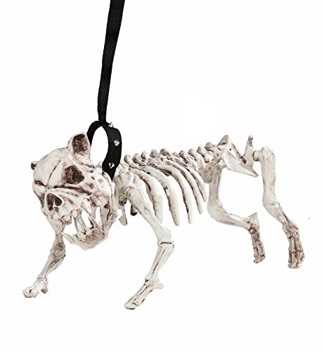 Widmann 01373 - Skelett Hund mit Leine - 45 cm lang