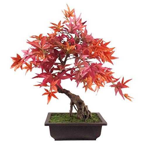 Leaf Künstlicher Baum, Blätter, 50 cm, Plastik, Bonsai aus rotem Ahorn, 60 cm