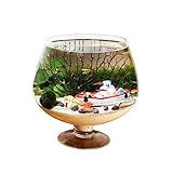 Kleiner Tank Aquarium, tragbare Fischschale Tank, Kelchförmiges Aquarium, Aquarium for den Schreibtisch, ökologische Flasche, Aquascape, kleines Aquarium, Aquarium, klares Glas, Wasser for Haustiere(M