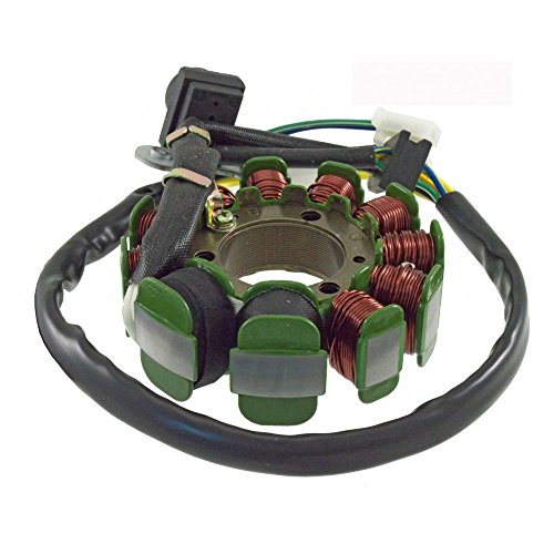 Lichtmaschine/Stator RMS für SYM (Sanyang) HD 125, SYM (Sanyang) Joyride 125-200 / Evo, HD 200i