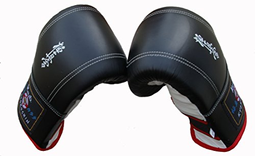 KYOKUSHIN KARATE SPARRING- UND SANDSACK HANDSCHUHE, KYOKUSHINKAI GLOVES, OYAMA,