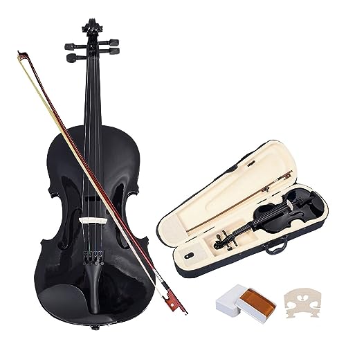 Schwarze 4/4-Violine, Saiteninstrument, Massives Holz, Akustische Geige Mit Box, Musikinstrumenten-Zubehör (Color : 1-4)