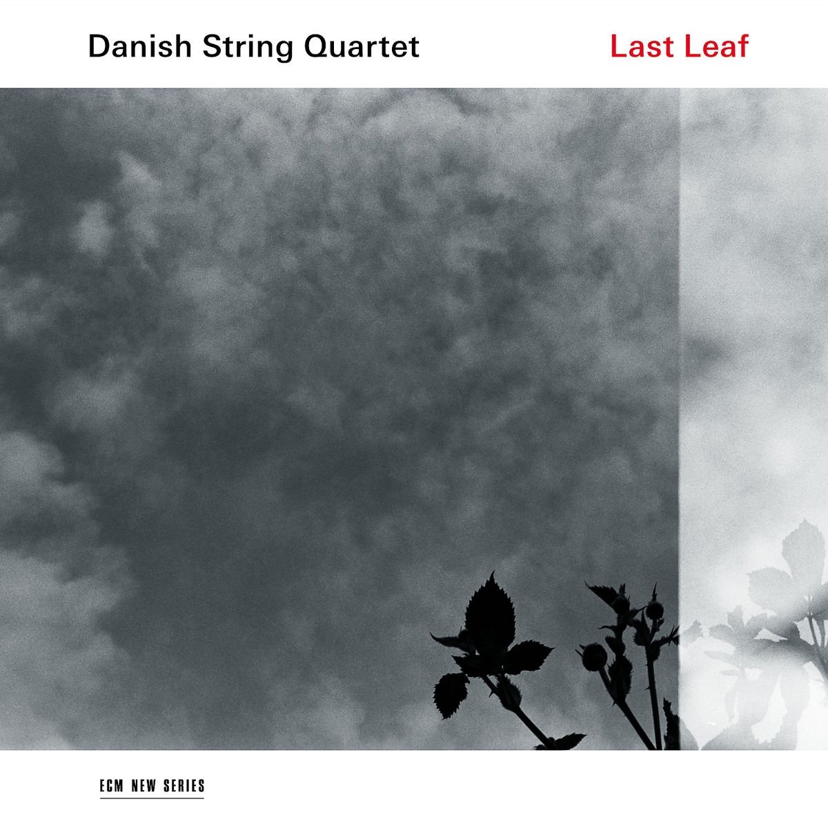 Last Leaf [Vinyl LP]