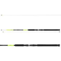 Daiwa Sealine X´treme TR 2.25m 100-250g