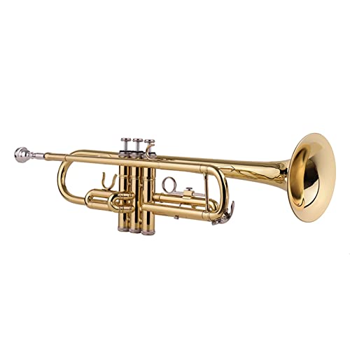 Standard BB Messing Trompete Mit Mundstück Tragetasche Handschuhe Reinigung Tuch Tuner Windinstrument