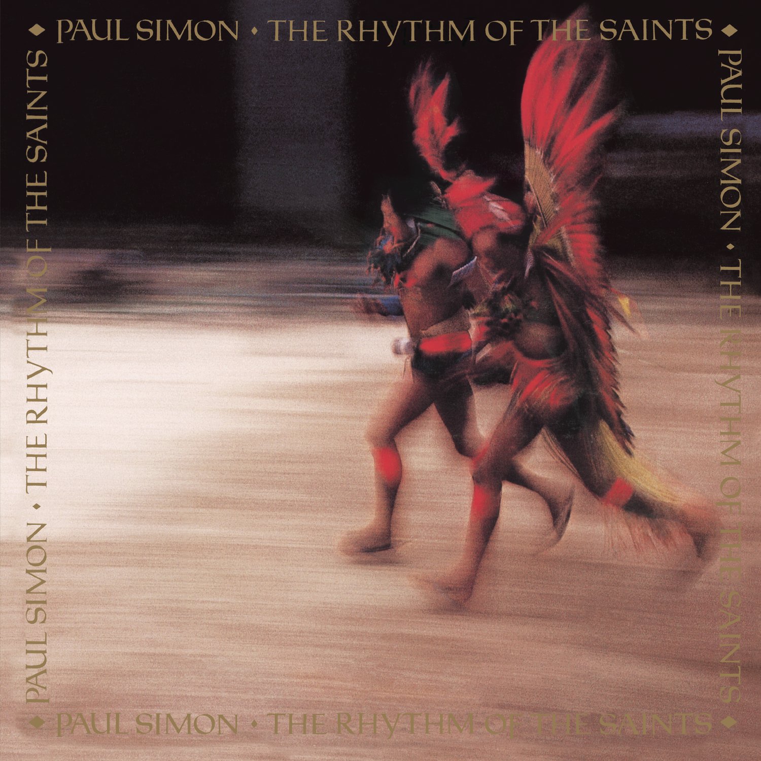 The Rhythm of the Saints [Vinyl LP]