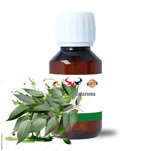 Eukalyptus (100 ml)