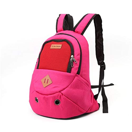 Rysmliuhan Shop Hundetragetasche Katzenrucksack Hundeträger für mittlere Hunde Tragbarer Haustierträger Welpenträger für kleine Hunde Hundereiseträger Hunderucksack Rose red